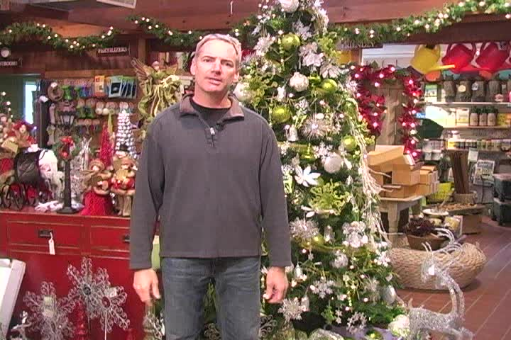 Great Gardens • Christmas Decor