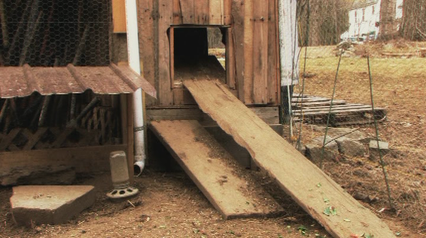 The Children's Corner • Chicken Coop
