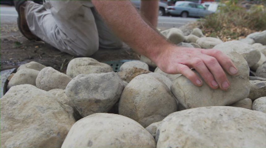 Water Blues Green Solutions