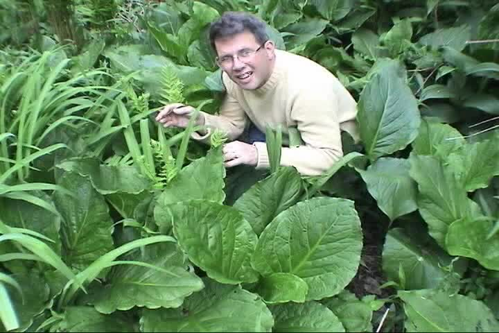 Expedition Earth with Scott Tucker • Stellwagen Bank Scuba